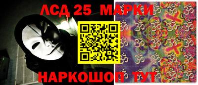 MDMA Гатчина