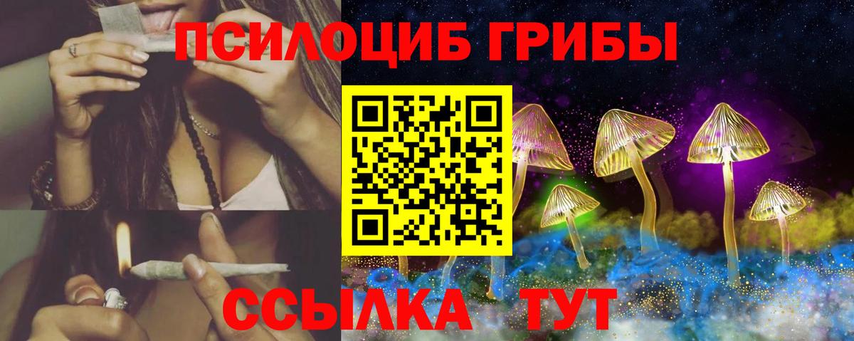 Новоалтайск  Галлюциногенные грибы GOLDEN TEACHER  Вход с VPN 
