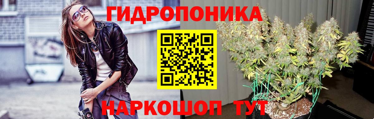 Новоалтайск  Бошки марихуана марихуана  Вход с VPN  Бошки марихуана OG Kush  Канабис Ganja 